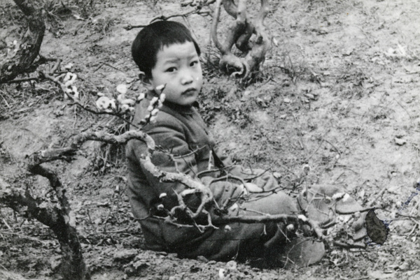 Boy and blossom