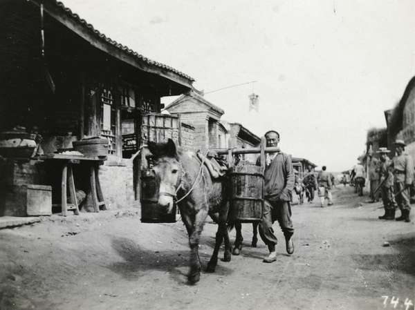 Donkey with water pails