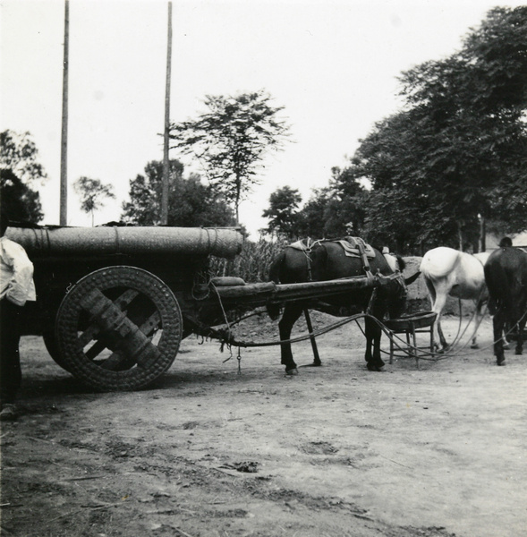 Cart horses eating