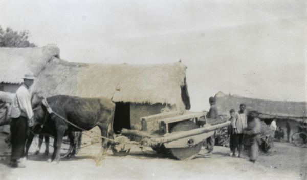 Two oxen and a stone wheeled crusher