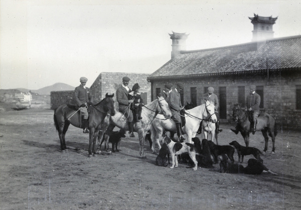 Horses and pack of hounds, 1903