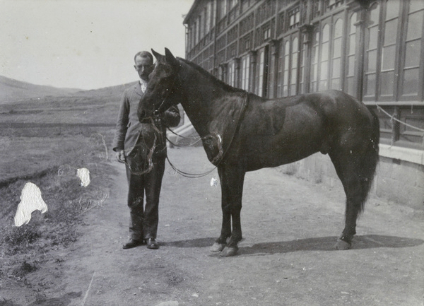 Colonel Ruxton with a horse, 1st Chinese Regiment, outside the regiment's headquarters, Weihaiwei