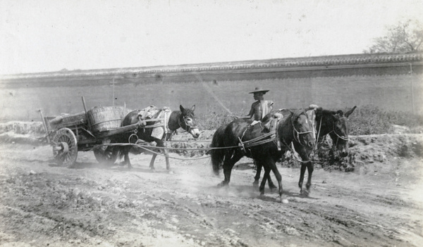 Cart drawn by three horses