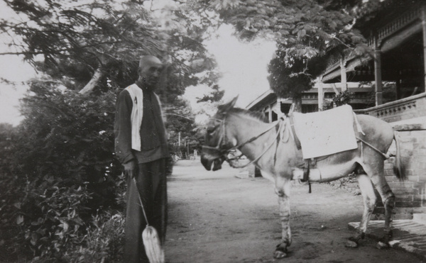 Man and donkey, Beidaihe