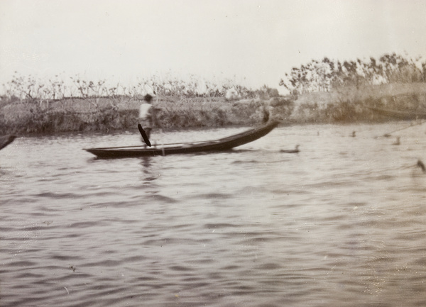 Fishing with cormorants, Taihu Lakes, near Shanghai