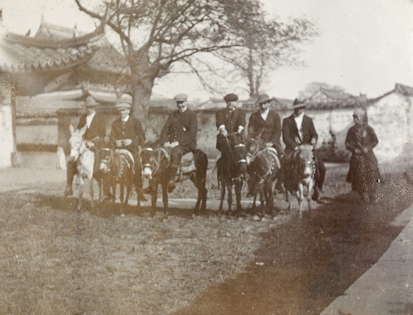 A pony race about to start