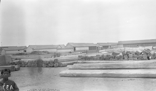 Timber at Yangkiakow (羊角沟), Shandong