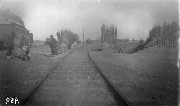 Siding and windbreaks on Butterfield and Swire land, Qinhuangdao (秦皇岛)