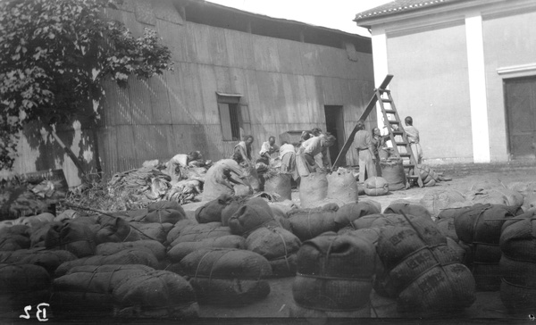 Filling and weighing sacks, back compound, Zhenjiang (镇江)