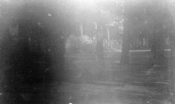 Trees around The Confucian Temple, Peking