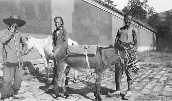 The photographer's donkey, Ming Tombs
