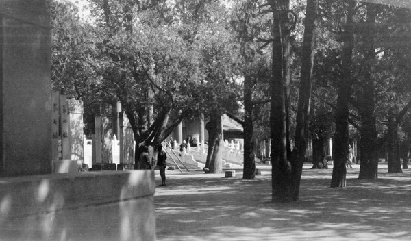 The Confucian Temple in Peking, c.1919-1920