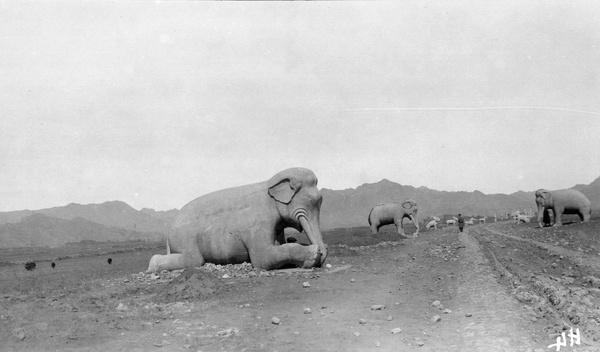 Stone elephants, Ming Tombs, Peking