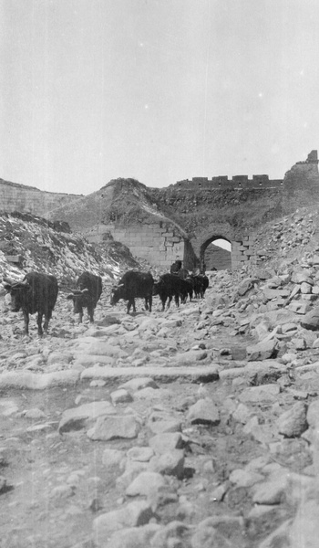 Gate in the Great Wall, Nankow Pass