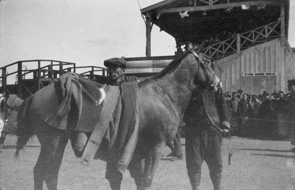 Racehorse, Kiangwan, Shanghai