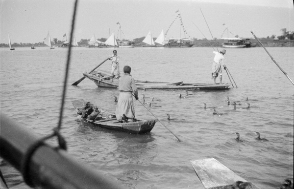 Fishing with cormorants, 'Henli Regatta', Shanghai