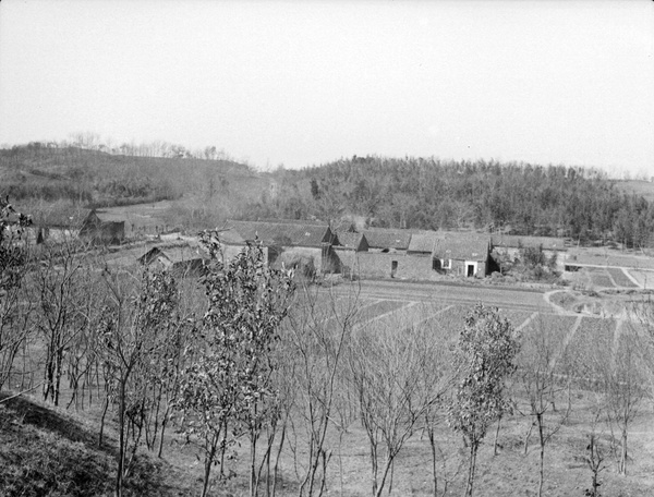 Farm, Nanking