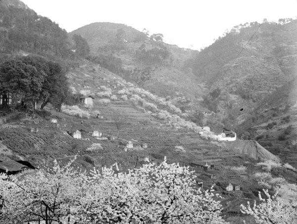 Hillside cemetery, Chungking, 1934