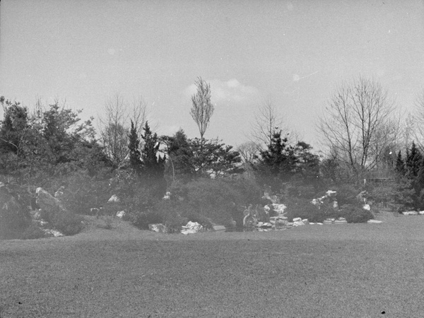 Rockery at 'Hazelwood', Shanghai