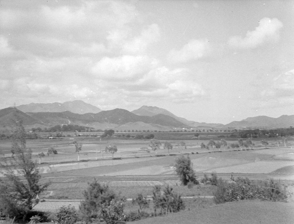 Fields, Hong Kong