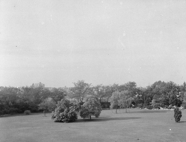 Garden at 'Hazelwood', Shanghai, 1940