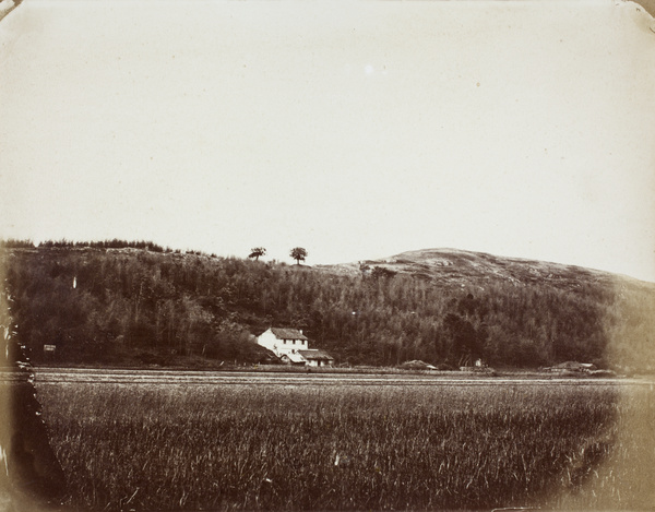 'Cunningham's' Hill and house, near Shanghai