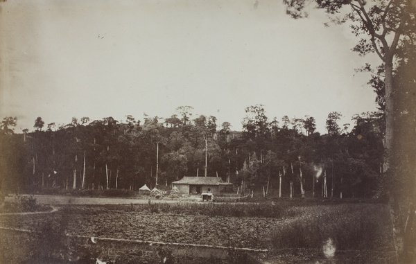 View at Grove Hill (細林山), Shanghai