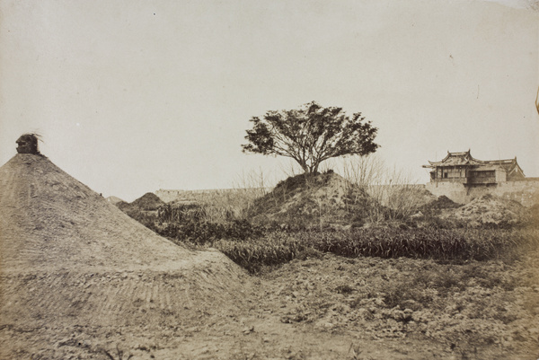 Tree-graves near the north wall of the Old City, Shanghai