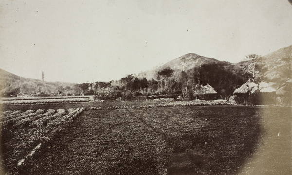 Farmland near Cunningham's Hills, Shanghai