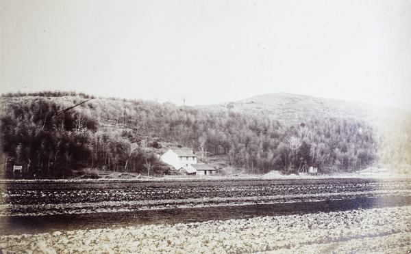 Cunningham's Hill and bungalow, near Shanghai