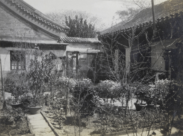 Courtyard garden and aviary, Peking