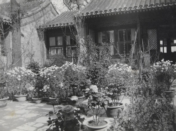 Courtyard garden, Peking