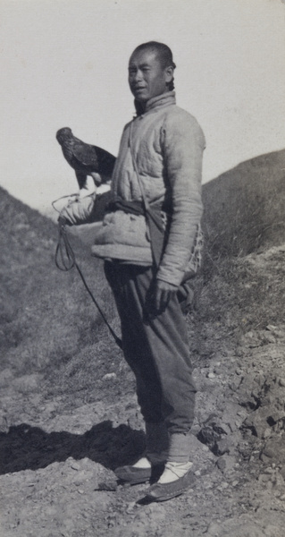 A falconer with his hawk