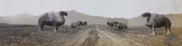 Camels and elephants on Shen Dao, leading to the Ming Tombs, Peking