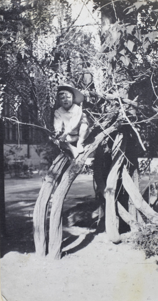 Brian Boyd Cooper climbing a small tree