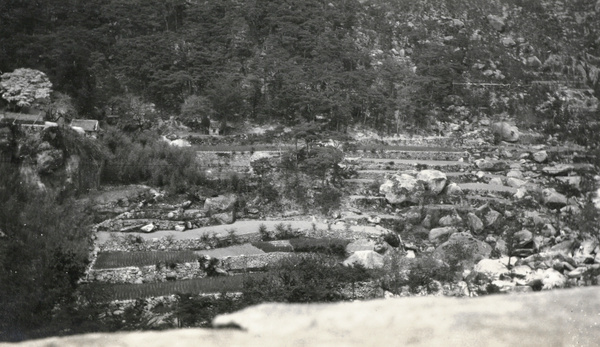 Terraced fields