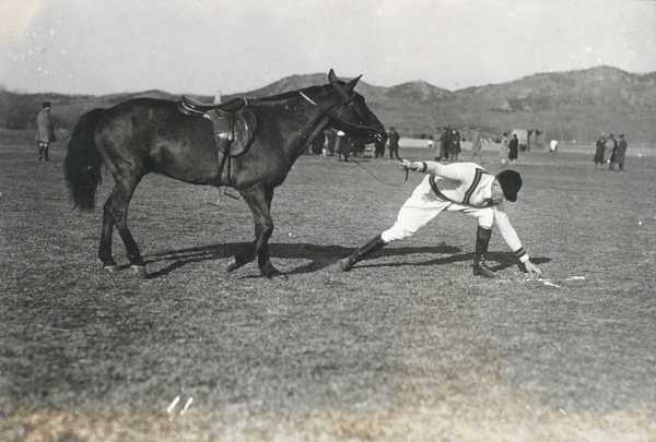 Rider and horse