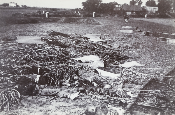 Corpses laid out in a field after a battle