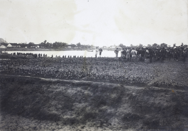 Revolutionary troops in a field