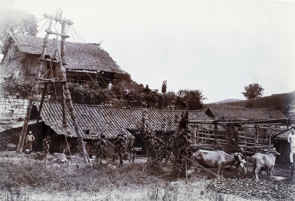 Buffalo winch, salt wells, Tzuliuching, Zidong