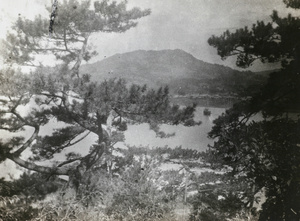 View of a river from woodland