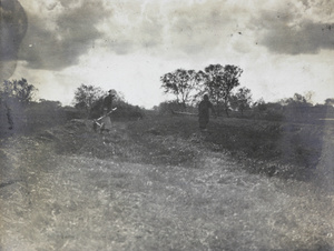 Women working in a field