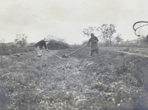 Female field workers