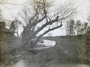 A boat and boatman, near Shanghai