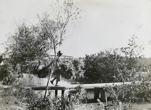 Carrying straw across a bridge