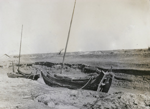 Moored boats