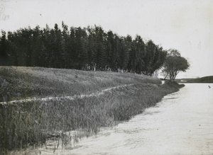 Path beside a river