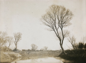 A canal in winter