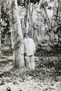 William Armstrong in a rubber tree plantation