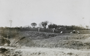 Agricultural workers in a field